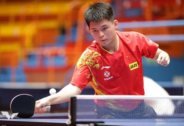 提供了强有 提供了强有